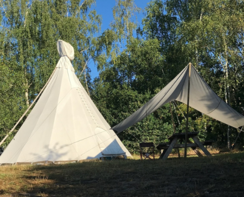 Wega natuurkampeerterrein Weert Natuur en Recreatiegebied De IJzeren Man