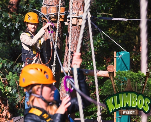 Klimbos Weert Natuur en Recreatiegebied de IJzeren Man Weert