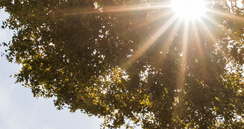 Voorkomen van een natuurbrand