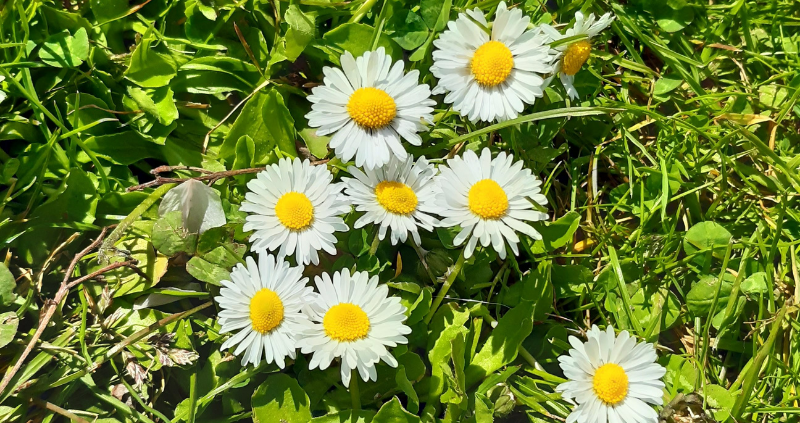 er mag weer een beetje meer Natuur en recreatiegebied de ijzeren Man