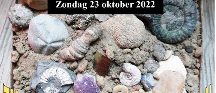 Fosiellen zoeken