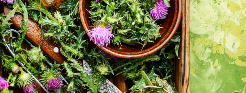 Foodwalk-heksenpesto-natuur-en-milieucentrum-de-ijzeren-man