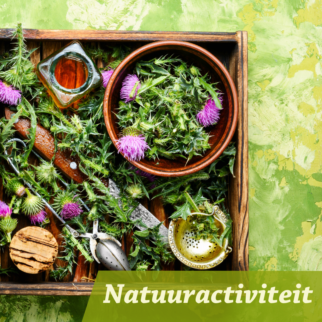 Foodwalk-heksenpesto-natuur-en-milieucentrum-de-ijzeren-man