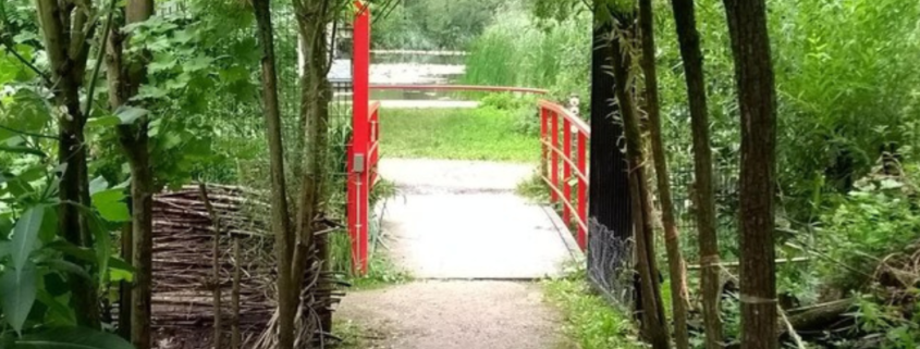 IVN activiteitendag milieucentrum natuur en recreatiegebied de ijzeren man Weert