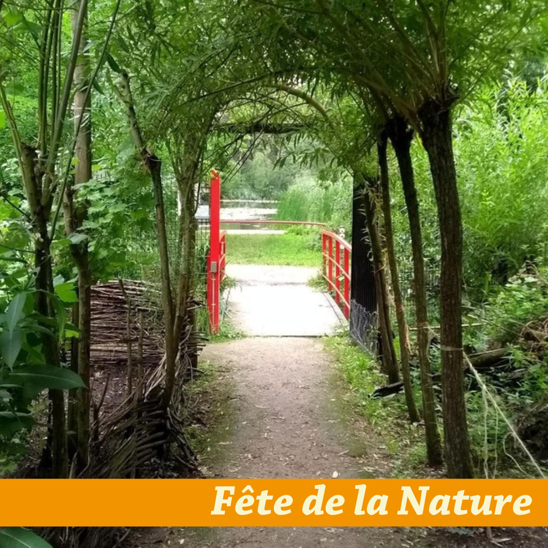 IVN activiteitendag milieucentrum natuur en recreatiegebied de ijzeren man Weert